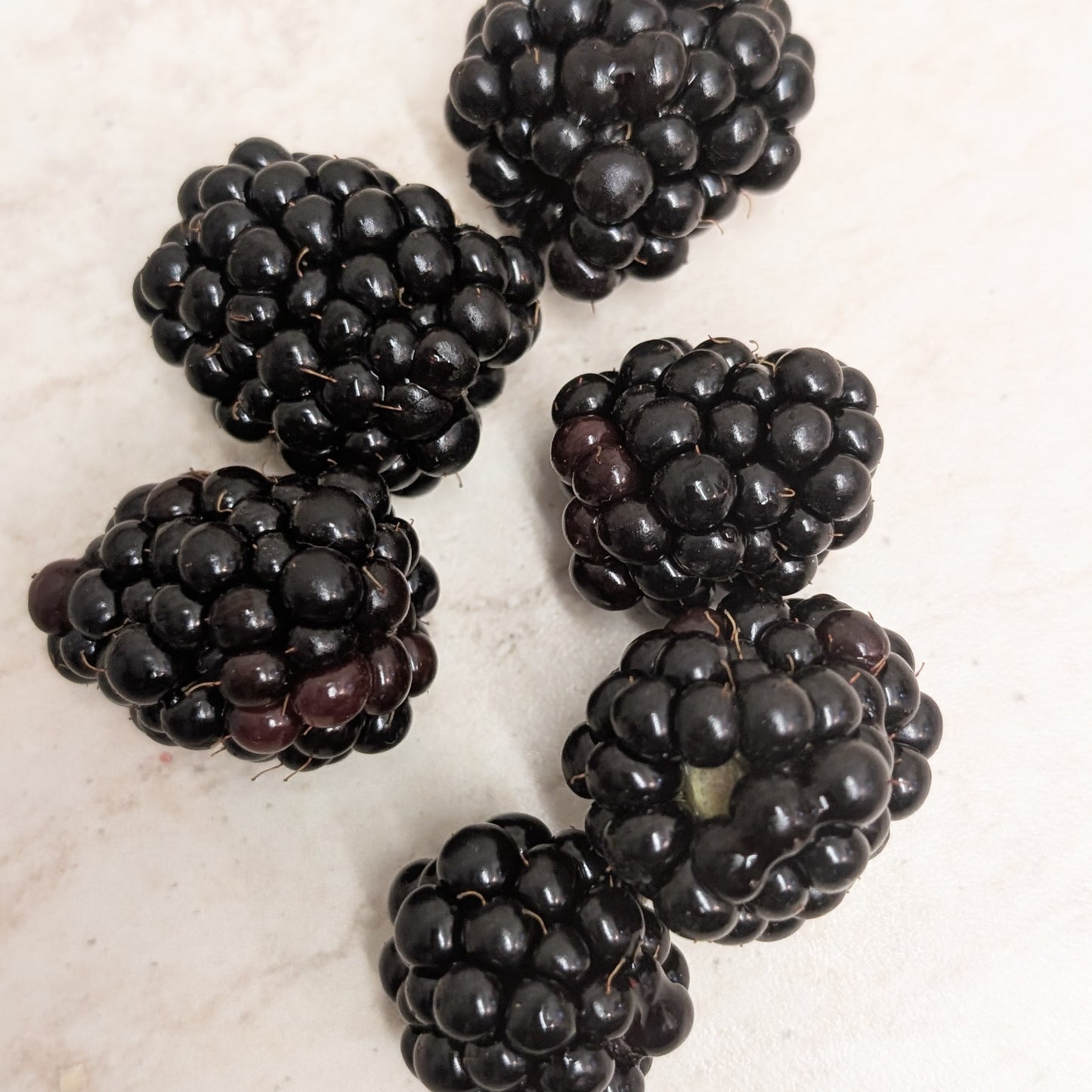 Silikonformen 4 Brombeeren